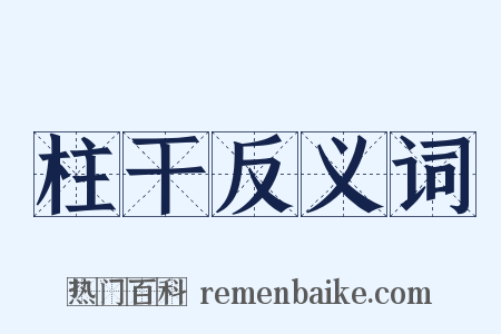 柱干反义词是什么意思的图片
